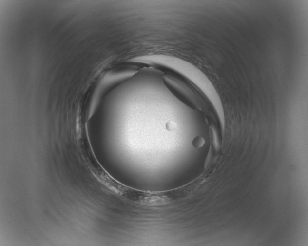 X0000082170716200701191307