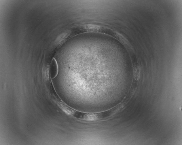 X0000082170717200701191307