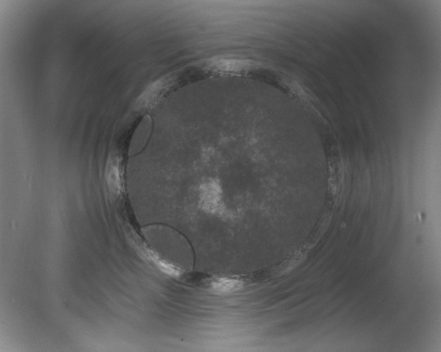 X0000082170718200701191307