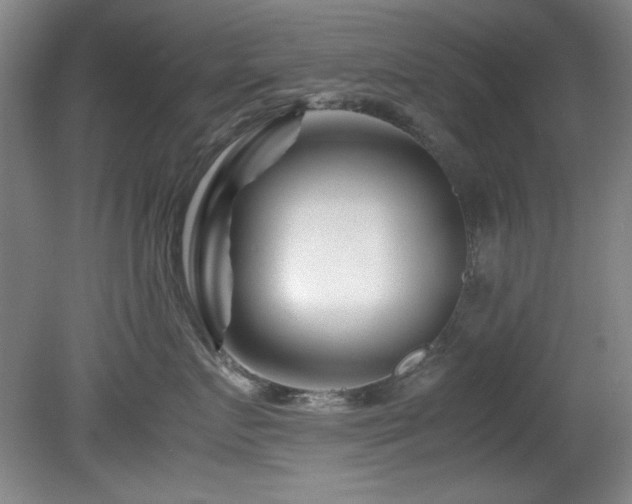 X0000082170719200701191307