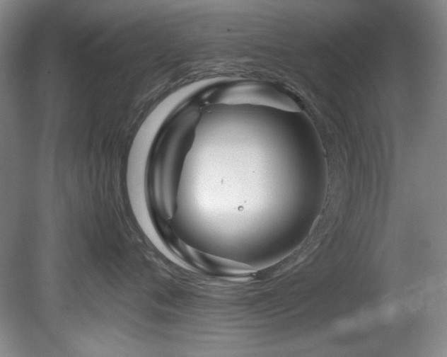 X0000082170720200701191307