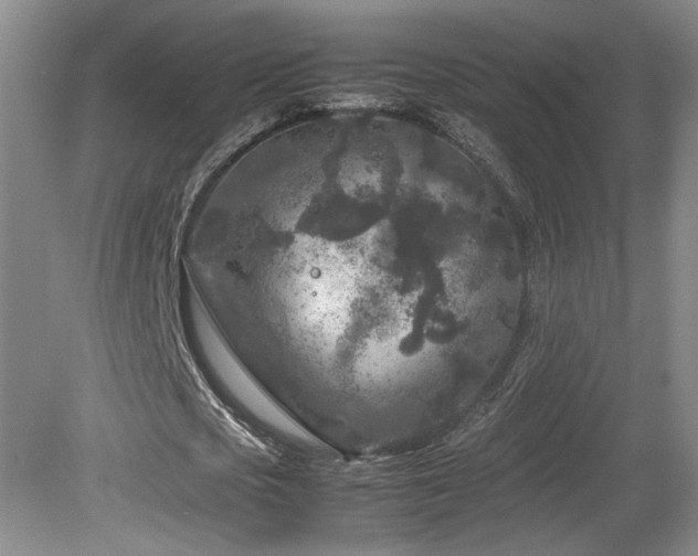 X0000082170721200701191306