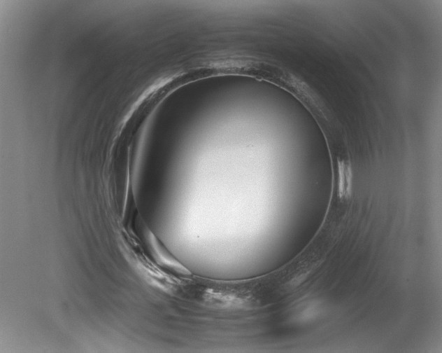 X0000082170723200701191306