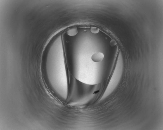 X0000082170724200701191306