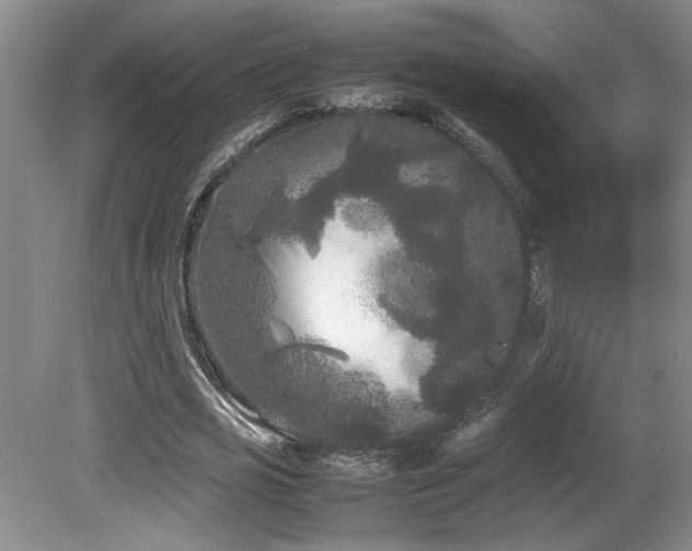 X0000082170725200701191306