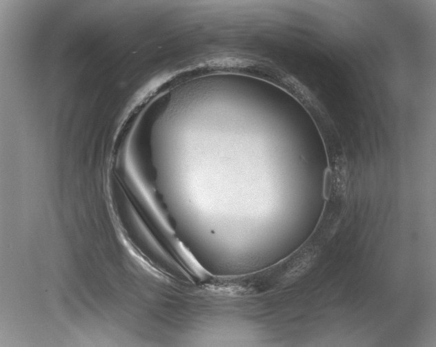 X0000082170726200701191307