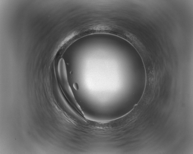 X0000082170727200701191307