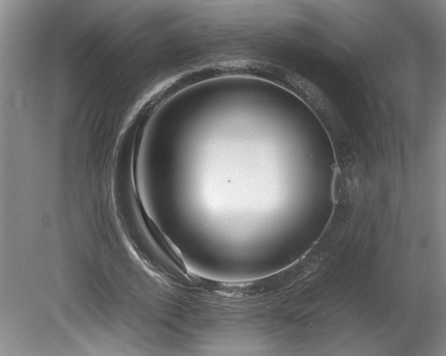 X0000082170728200701191307