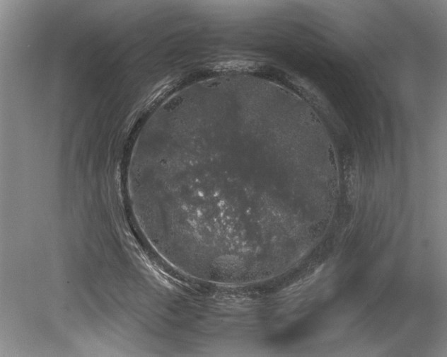 X0000082170729200701191307