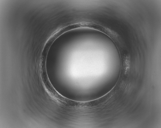 X0000082170730200701191307