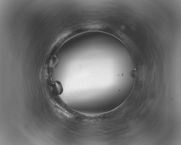 X0000082170731200701191307