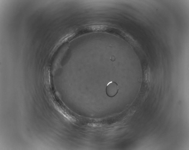 X0000082170733200701191307