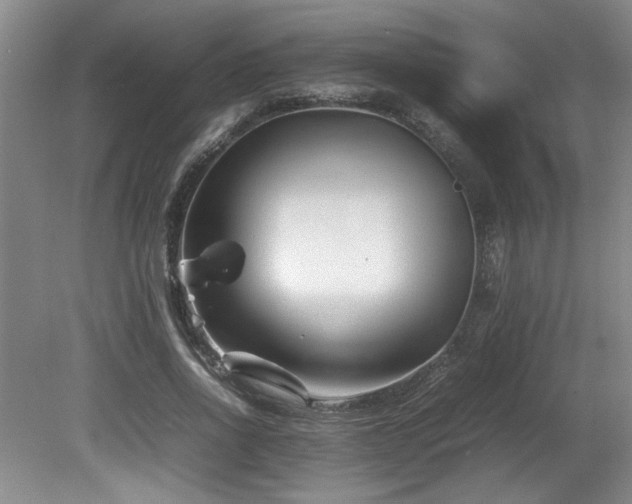 X0000082170734200701191307