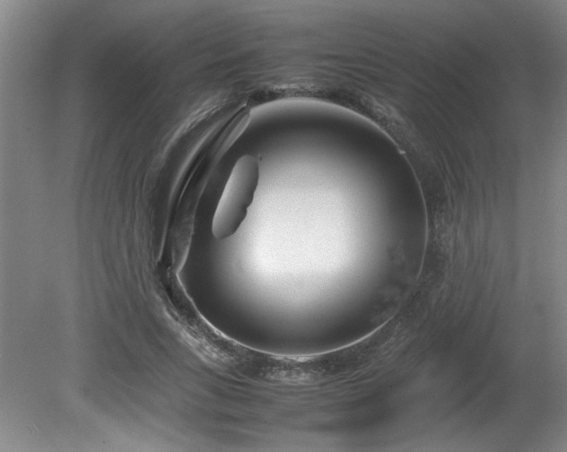 X0000082170735200701191307