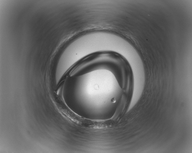 X0000082170736200701191307