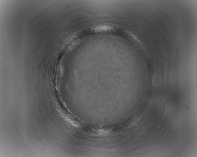 X0000082170737200701191307