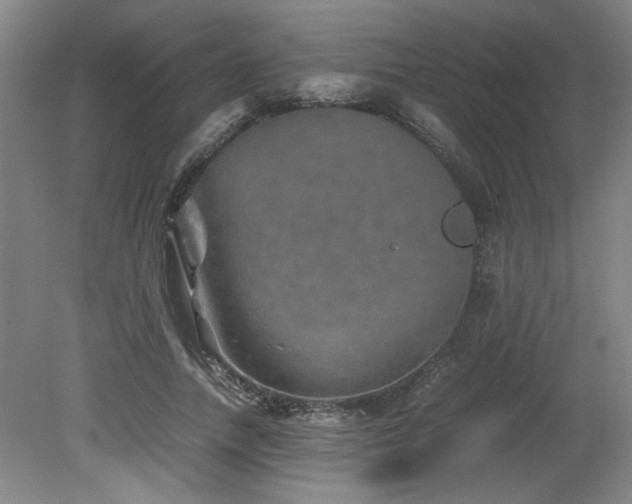 X0000082170738200701191307