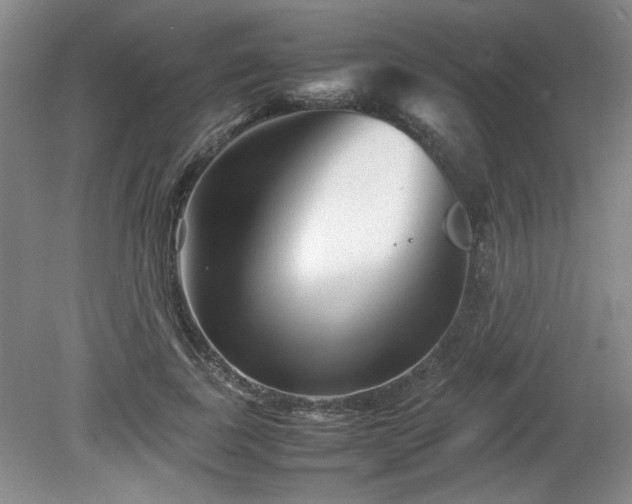 X0000082170739200701191307