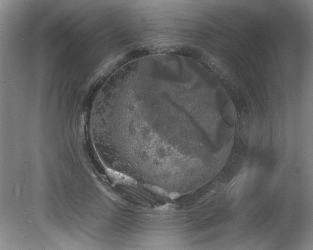 X0000082170742200701191307