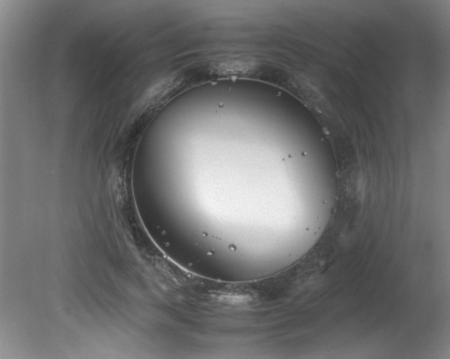 X0000082170743200701191307