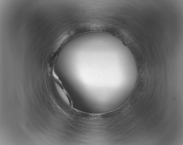 X0000082170744200701191307