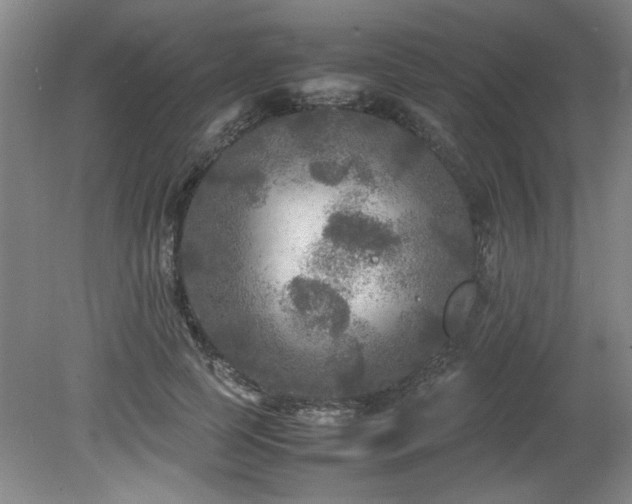 X0000082170745200701191307