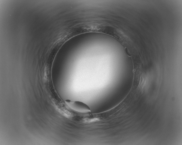 X0000082170747200701191307