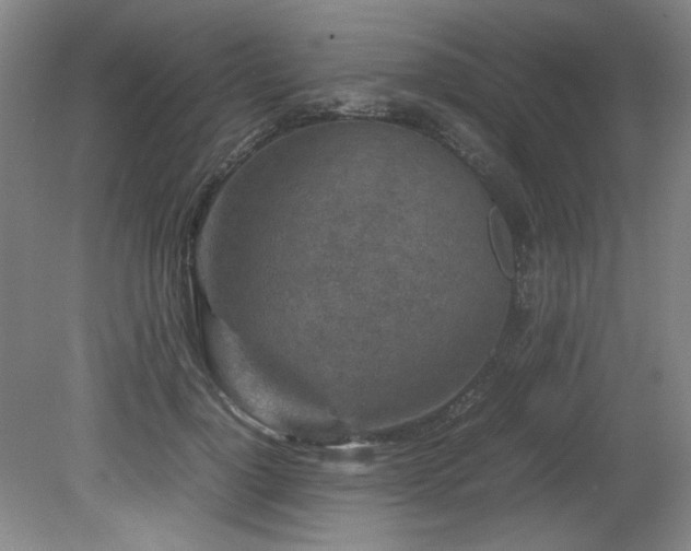 X0000082170748200701191307