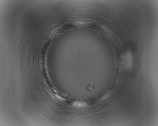 X0000082170749200701191307