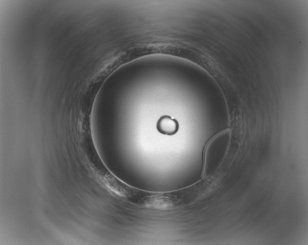 X0000082170750200701191307