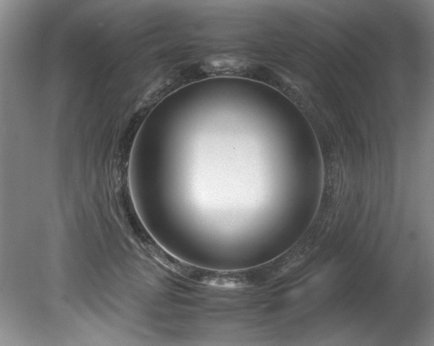 X0000082170751200701191307