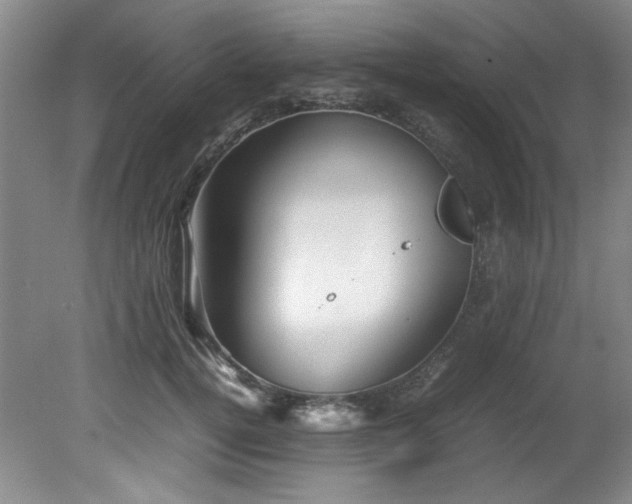 X0000082170752200701191307