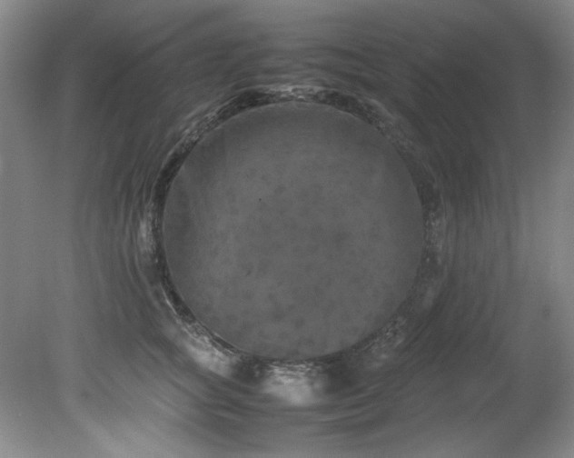 X0000082170757200701191307