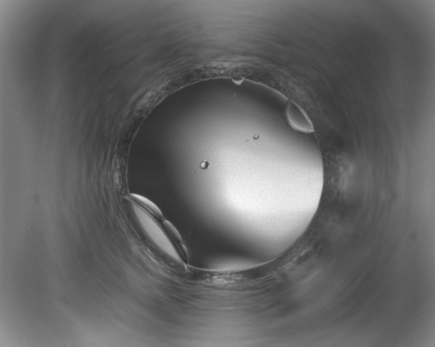 X0000082170758200701191307