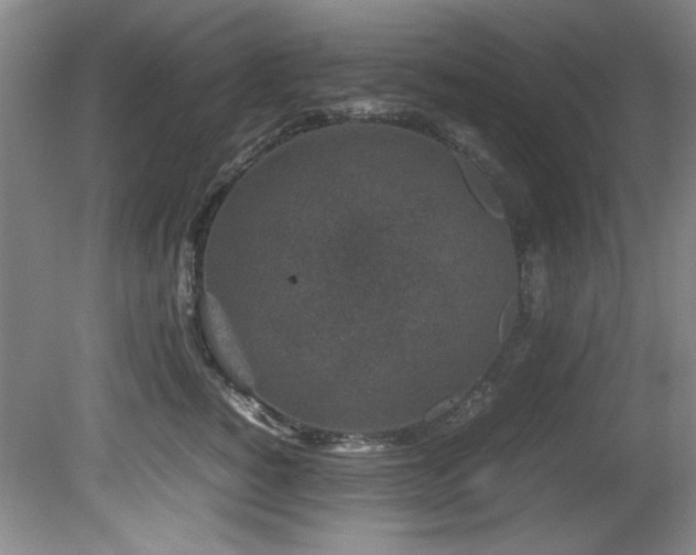 X0000082170760200701191307