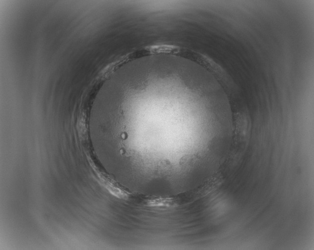 X0000082170761200701191307