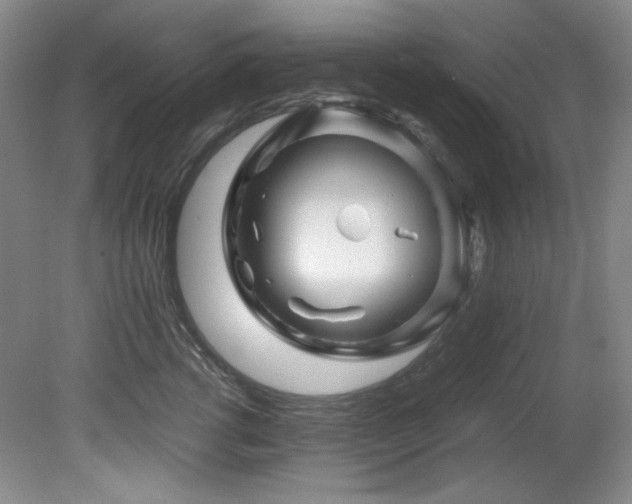 X0000082170762200701191307