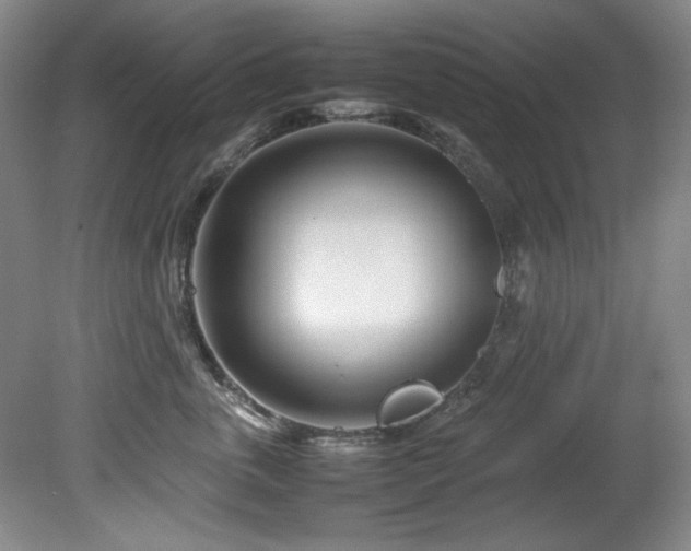 X0000082170763200701191307