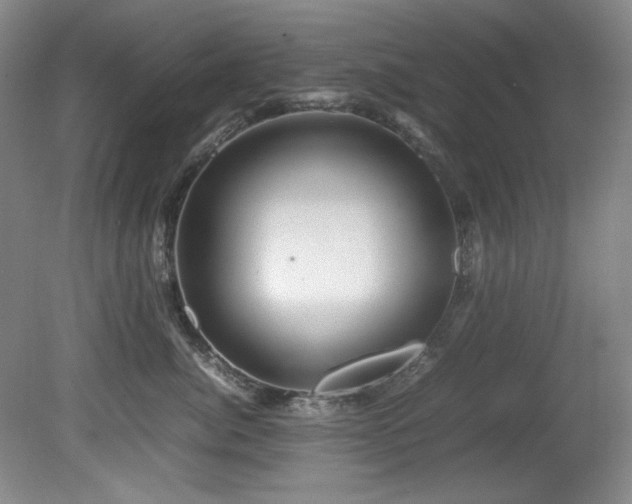 X0000082170764200701191307