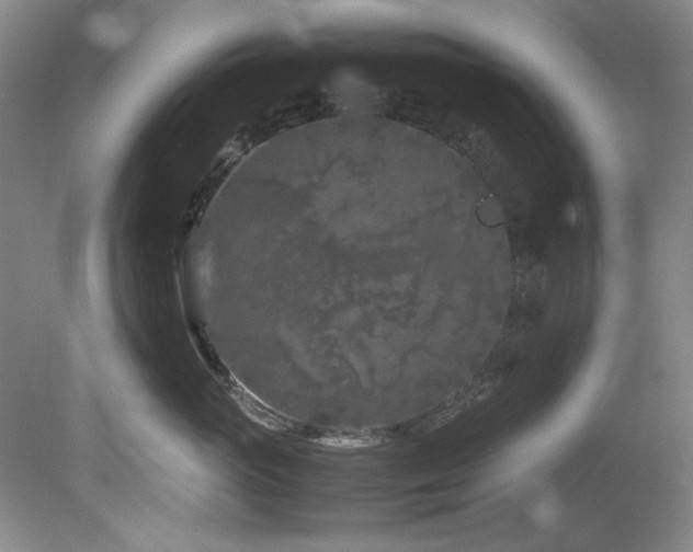 X0000082170765200701191307