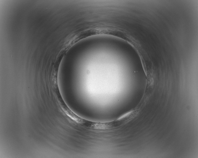 X0000082170766200701191307