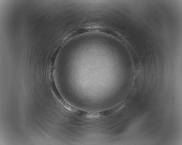 X0000082170767200701191307