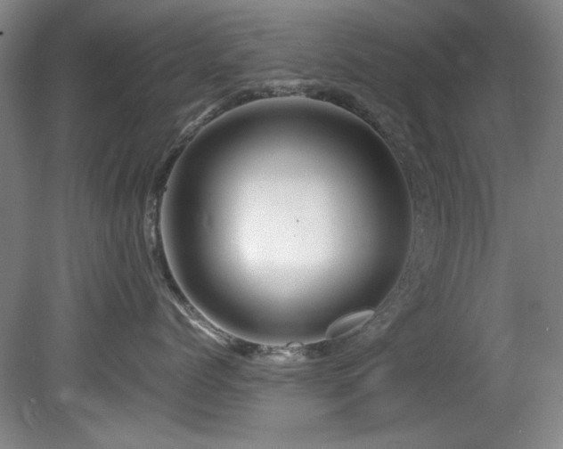 X0000082170768200701191307