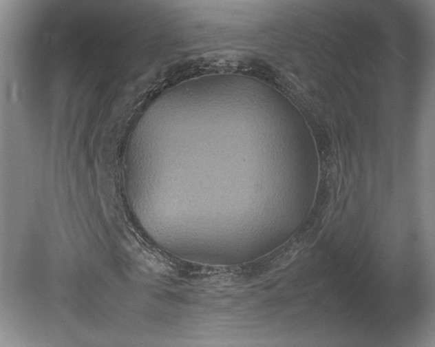 X0000082170769200701191306