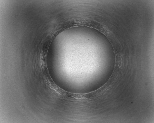 X0000082170770200701191306