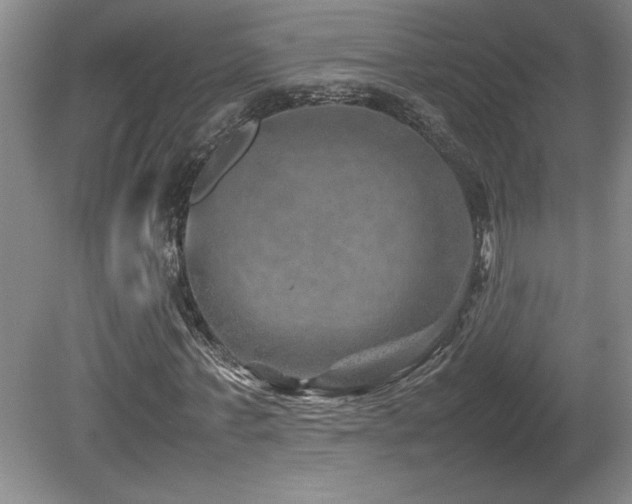 X0000082170771200701191306