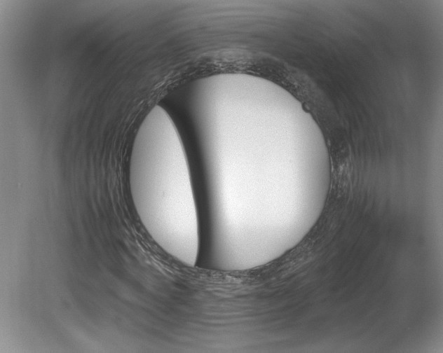 X0000082170772200701191306