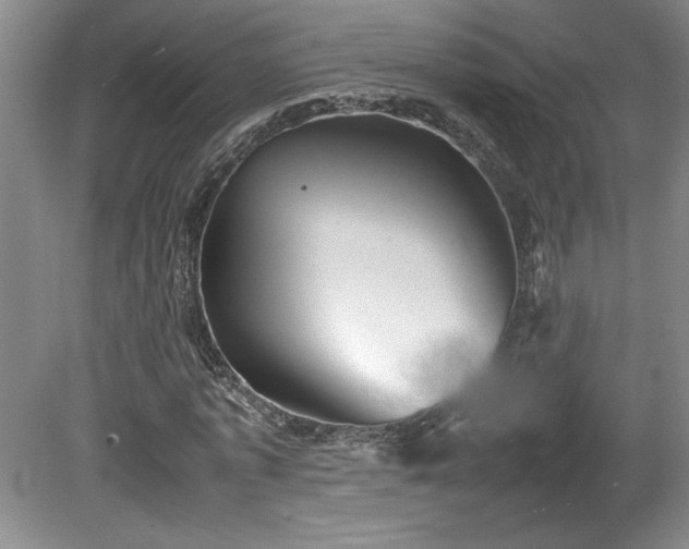 X0000082170773200701191306