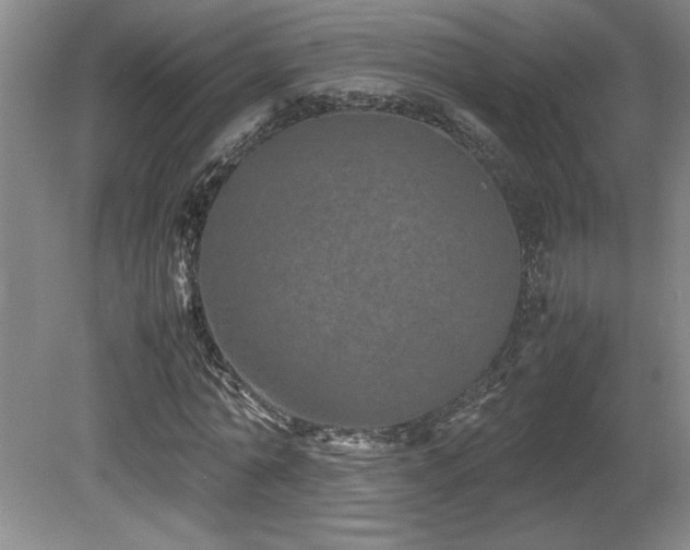 X0000082170774200701191306