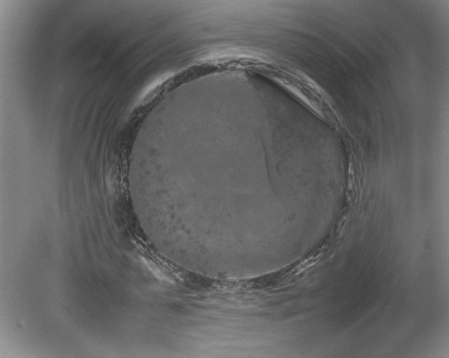 X0000082170775200701191306